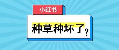 小紅書運(yùn)營(yíng)技巧