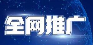 企業(yè)全網(wǎng)營(yíng)銷推廣