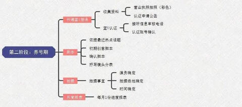步玩轉(zhuǎn)抖音藍(lán)v號"