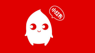 商家入駐小紅書需要什么條件? 小紅書入駐條件!