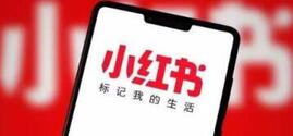 為什么小紅書的帶貨才調(diào)如此強(qiáng)? 小紅書帶貨運營模式!